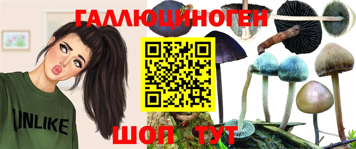 Псков  Галлюциногенные грибы мицелий  Псилоцибиновые грибы GOLDEN TEACHER  купить наркотики сайты  Вход с VPN 