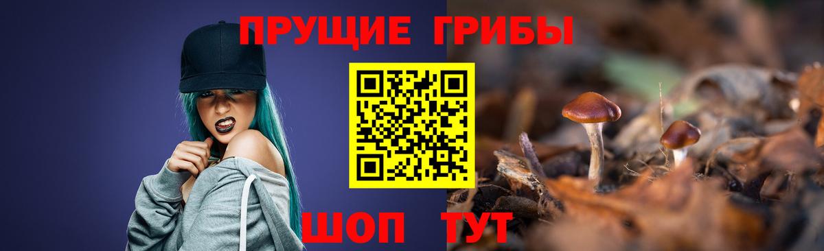 Псилоцибиновые грибы Cubensis Псков